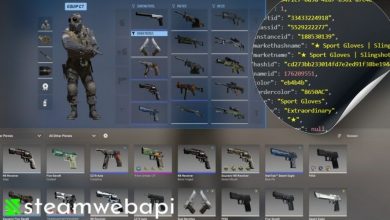 cs2 skins api, cs2 items api, cs2 inventory api (3)